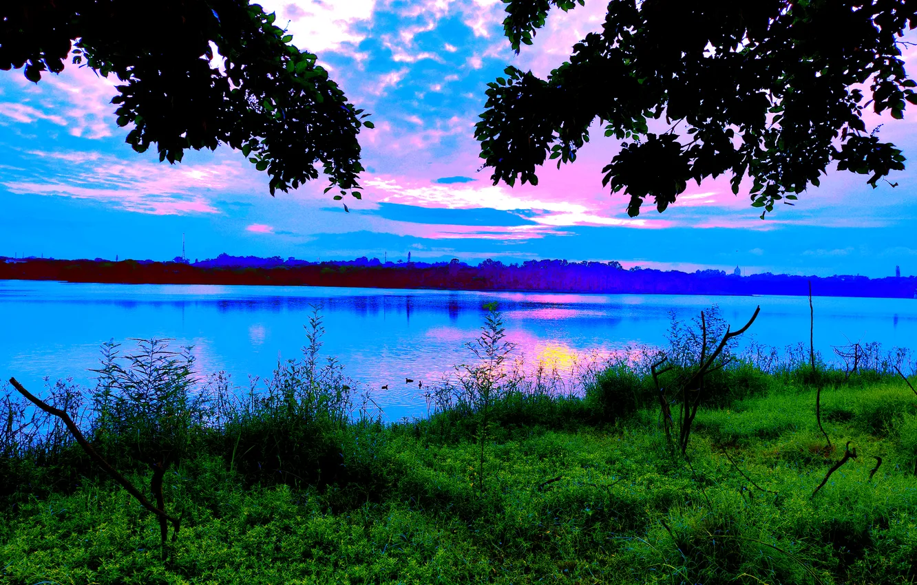 Фото обои Sky, Grass, Water, Sunrise, Dawn, Morning, Lake, Trees