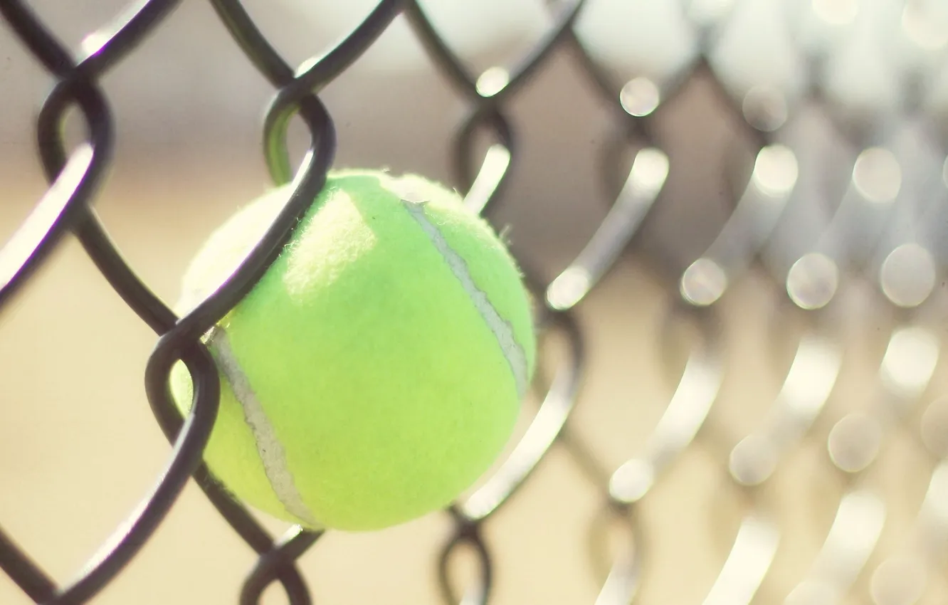 Фото обои wallpaper, sport, tennis, ball