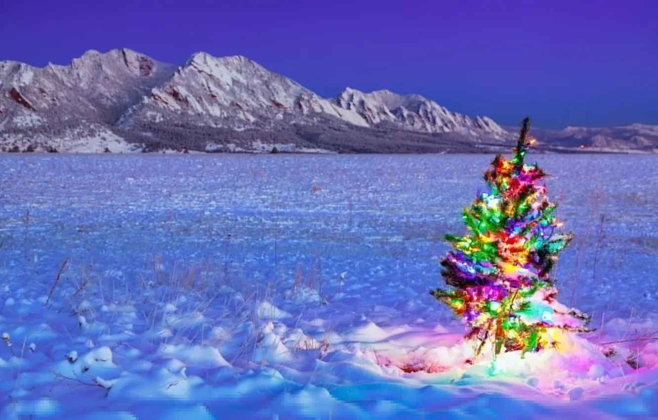 Фото обои зима, поле, праздник, ёлка