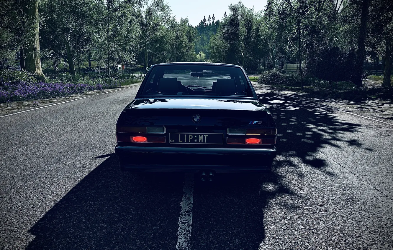 Фото обои HDR, BMW, Wood, Flowers, Street, Spring, Game, E28