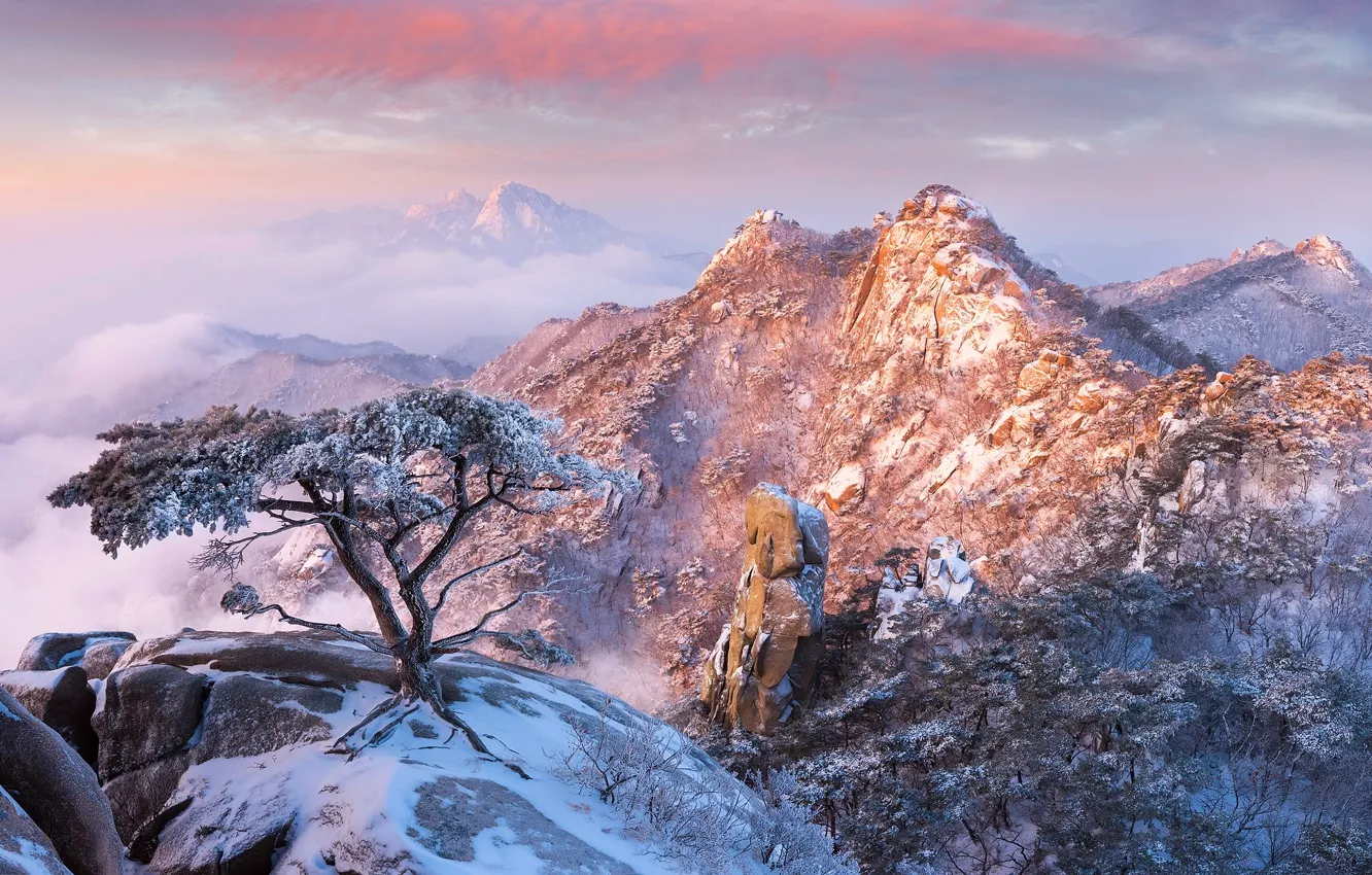 Фото обои зима, облака, снег, горы, дерево, скалы