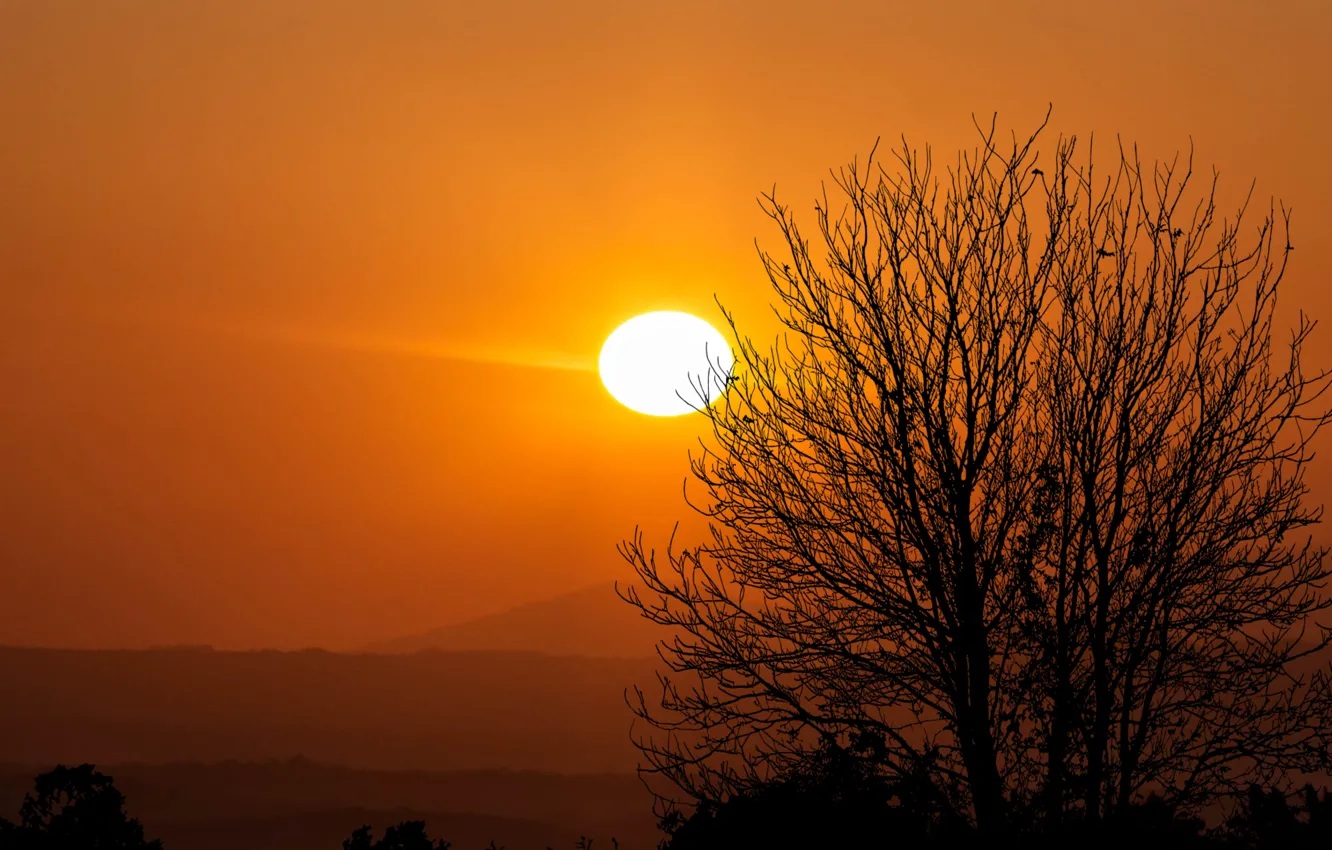 Фото обои sky, trees, sunset, mountains, sight