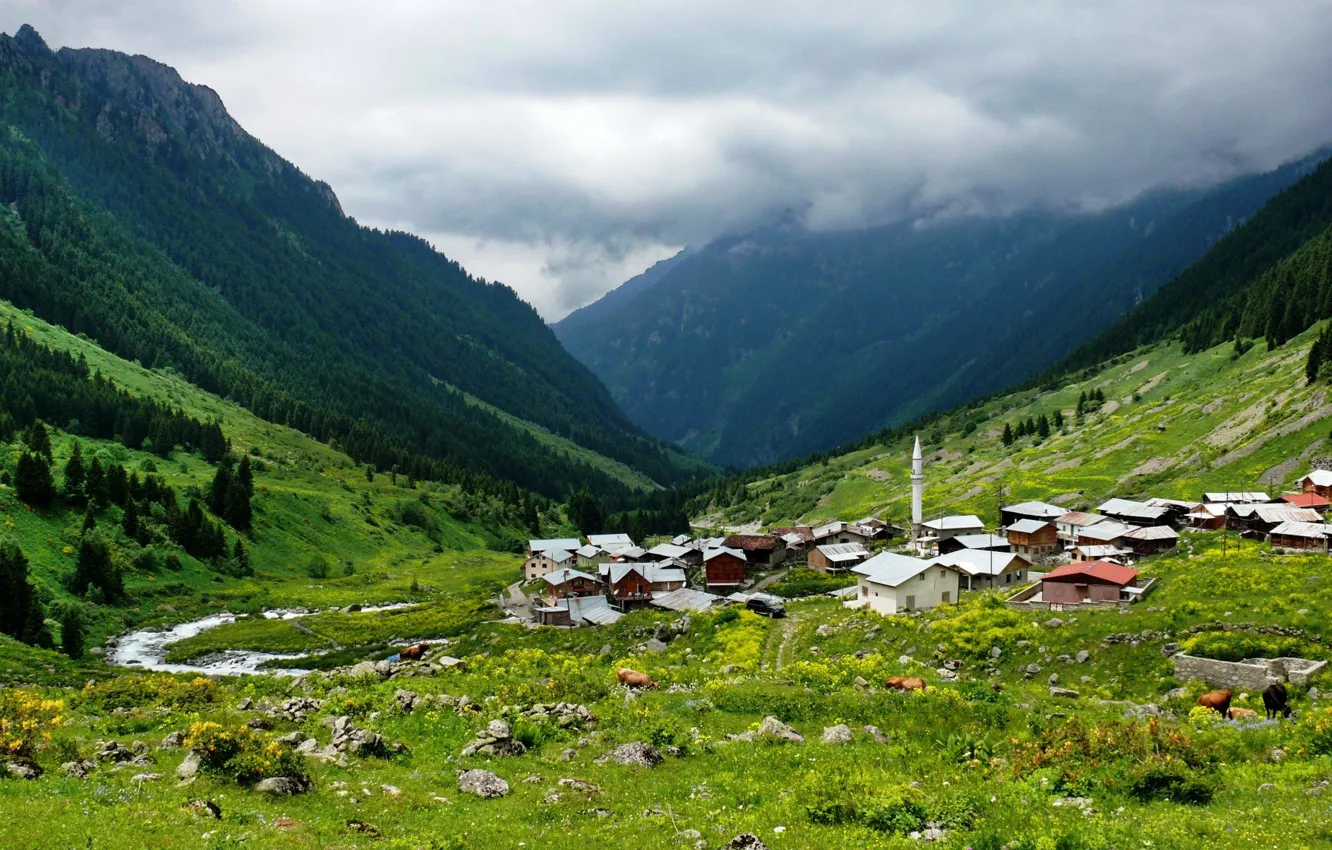 Фото обои green, mountain, village