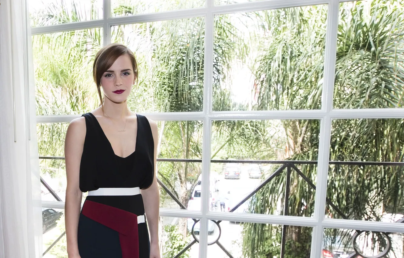 Фото обои Emma Watson, пресс-конференция, март 2014