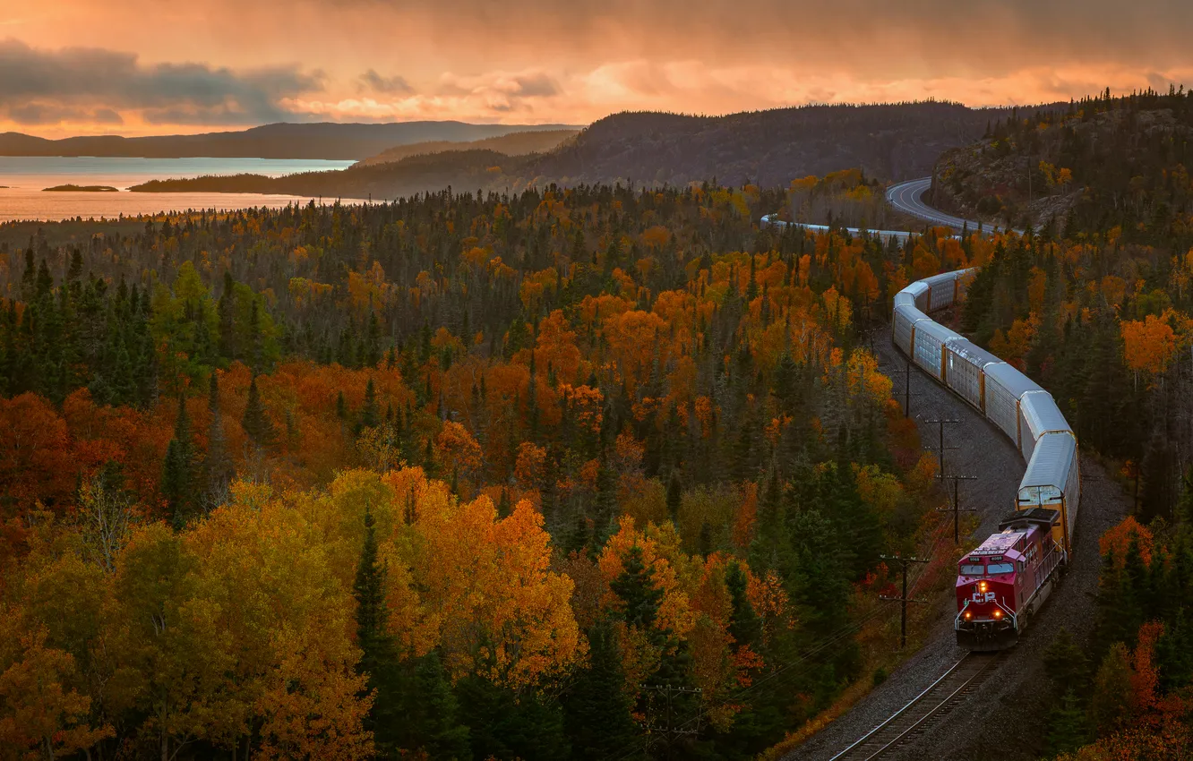 Фото обои forest, Canada, trees, sunset, autumn, train, Ontario, diesel locomotive