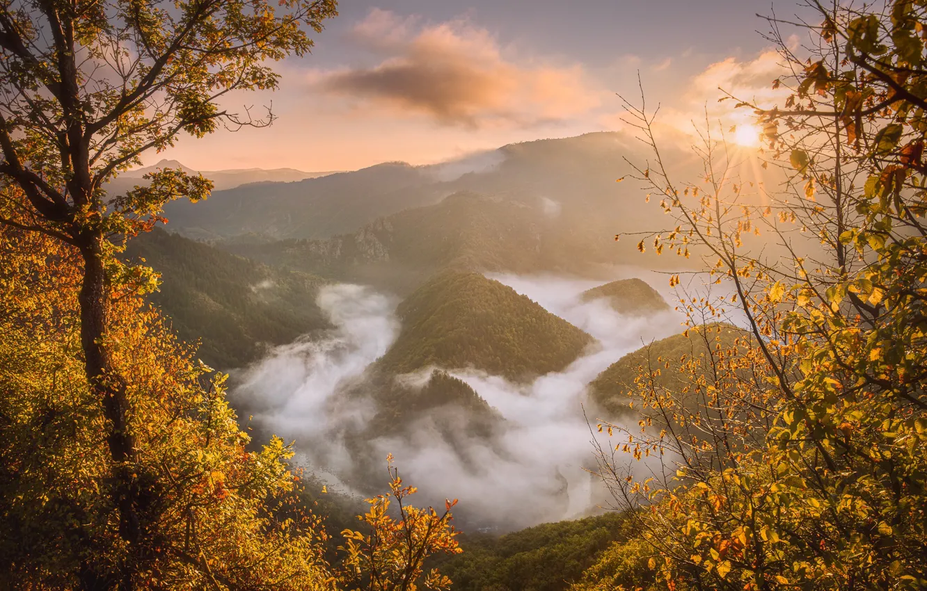 Фото обои осень, облака, пейзаж, горы, природа, туман, река, леса