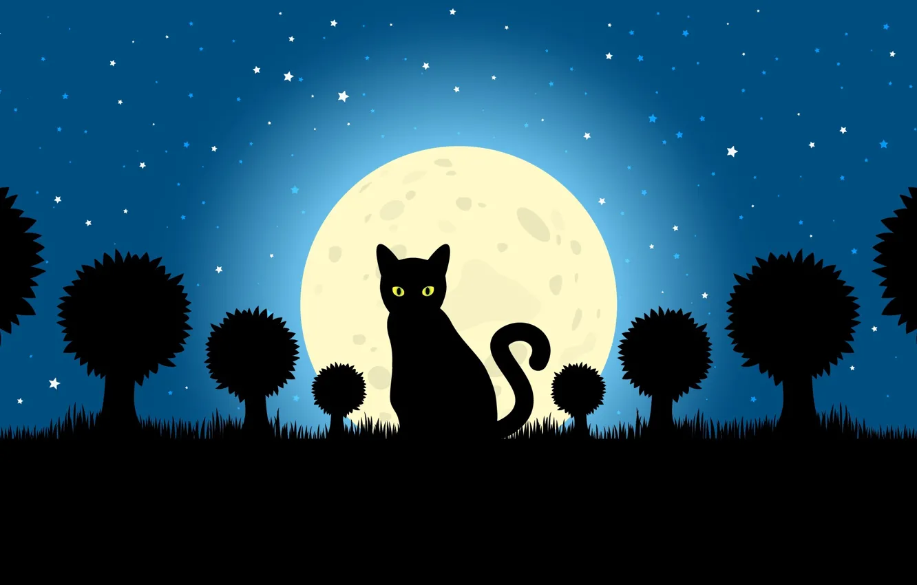 Фото обои кот, звезды, луна, тень