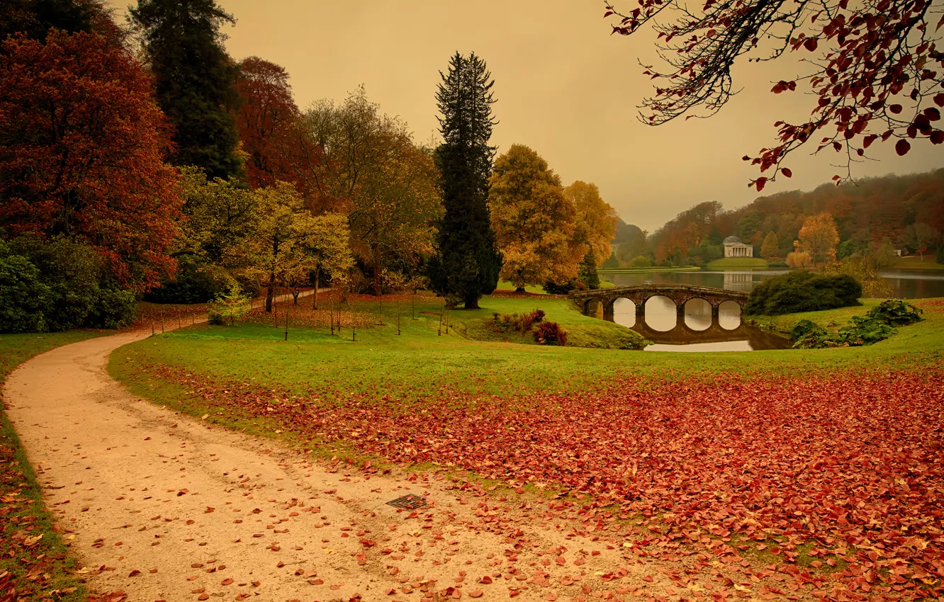 Фото обои осень, листья, деревья, Stourhead, Lies Thru a Lens