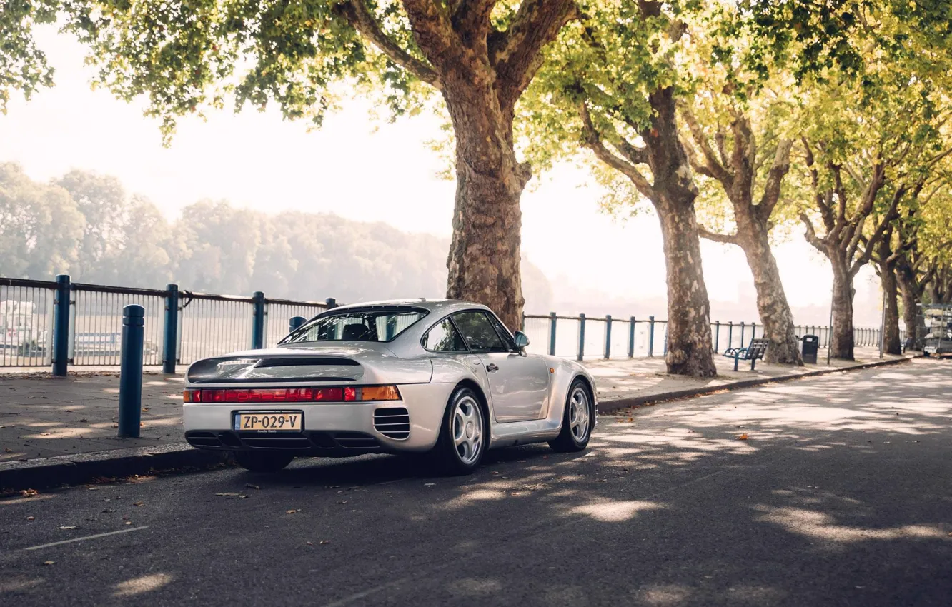 Фото обои Дорога, Деревья, Тротуар, Porsche 959