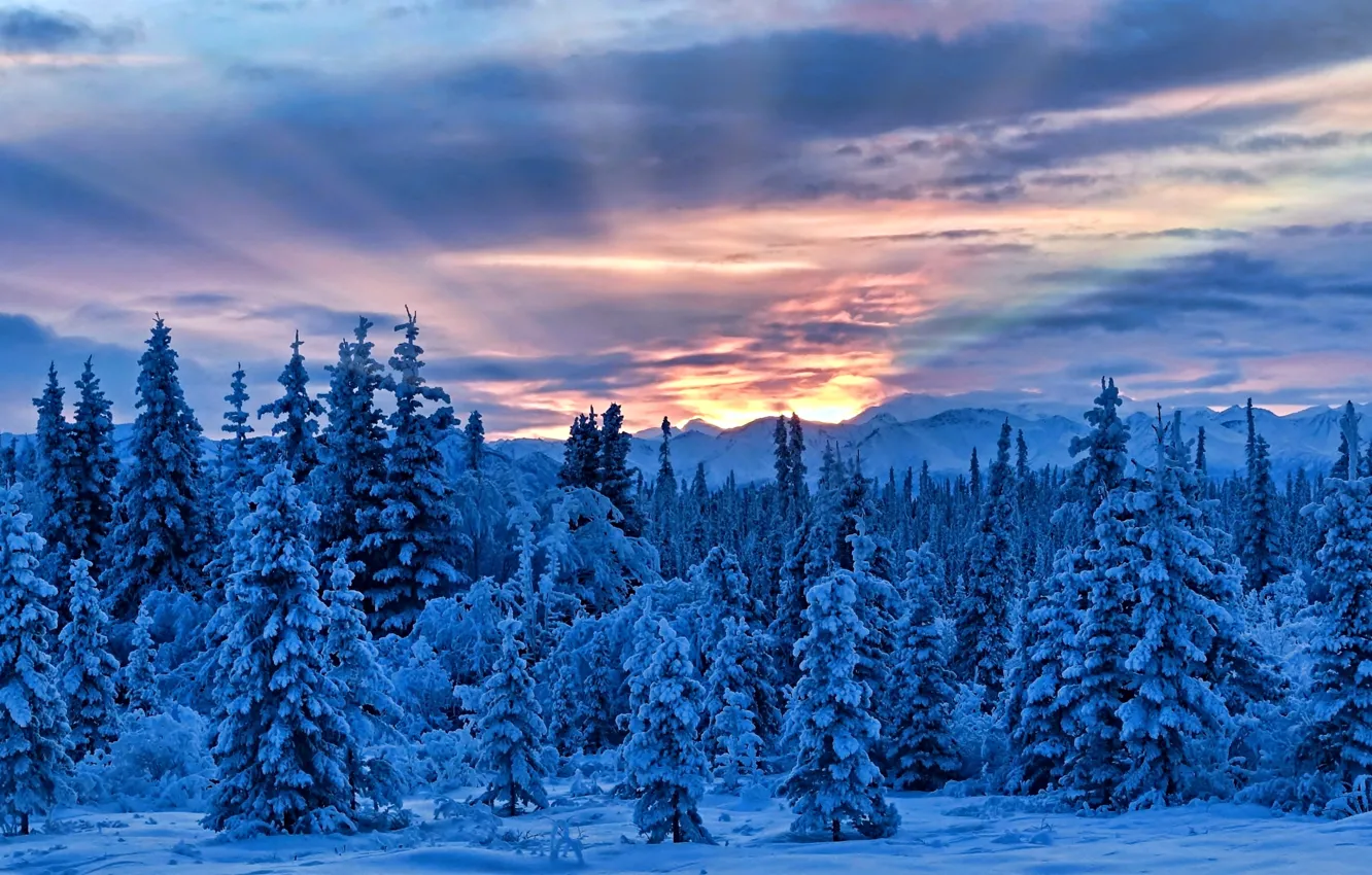 Фото обои зима, снег, деревья, горы, Аляска, Alaska