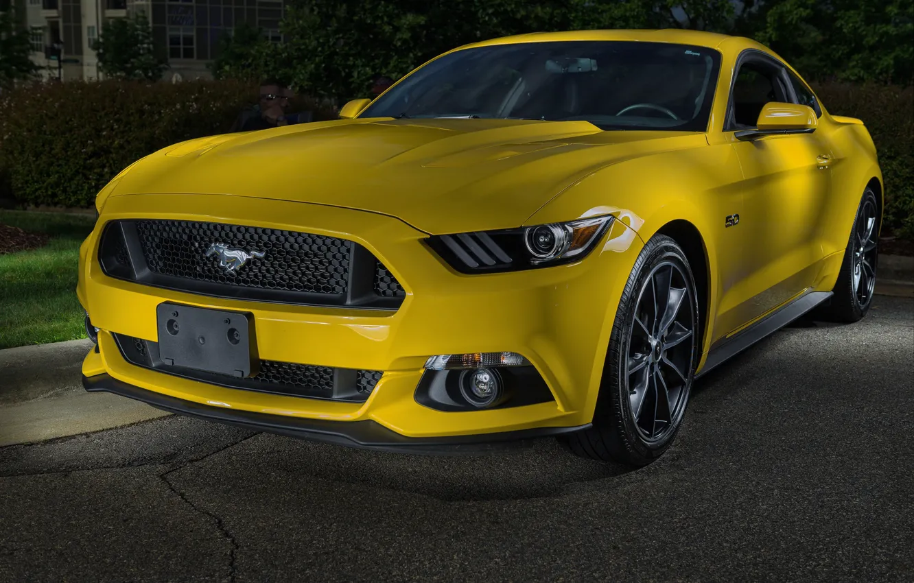 Фото обои Mustang, Ford, GT 5.0