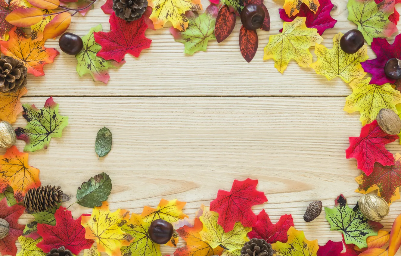 Фото обои осень, листья, фон, доски, colorful, клен, wood, background