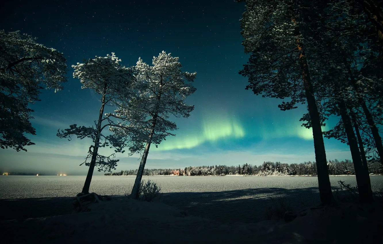 Фото обои зима, иней, поле, лес, небо, звезды, свет, снег