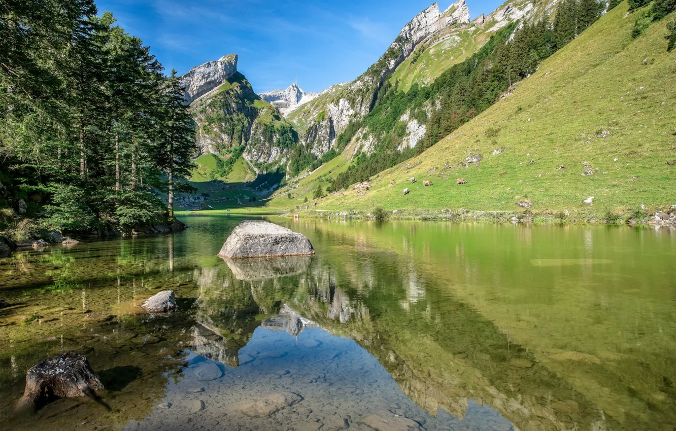 Фото обои деревья, горы, озеро, отражение, камень, Швейцария, Альпы