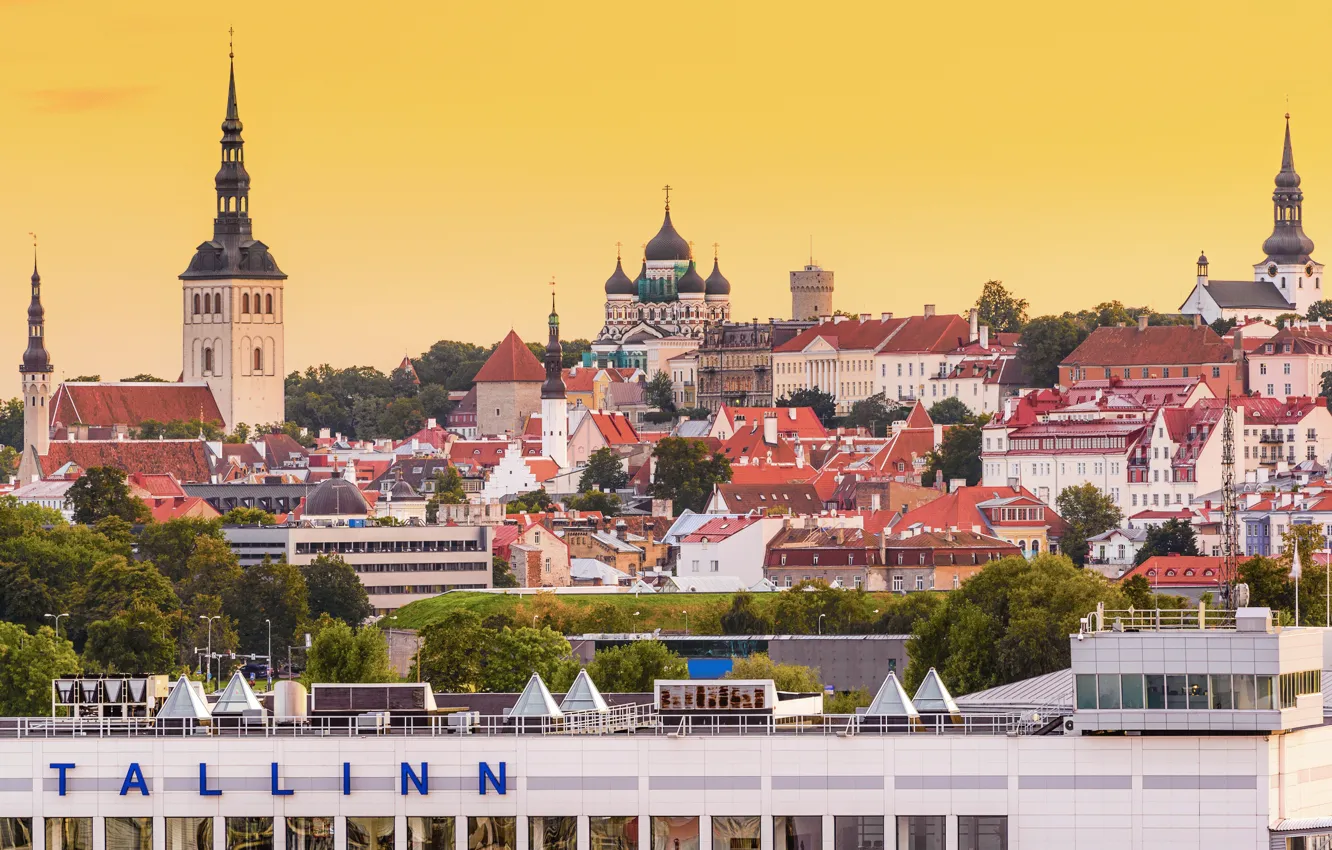 Фото обои здания, крыши, Эстония, Таллин, панорама