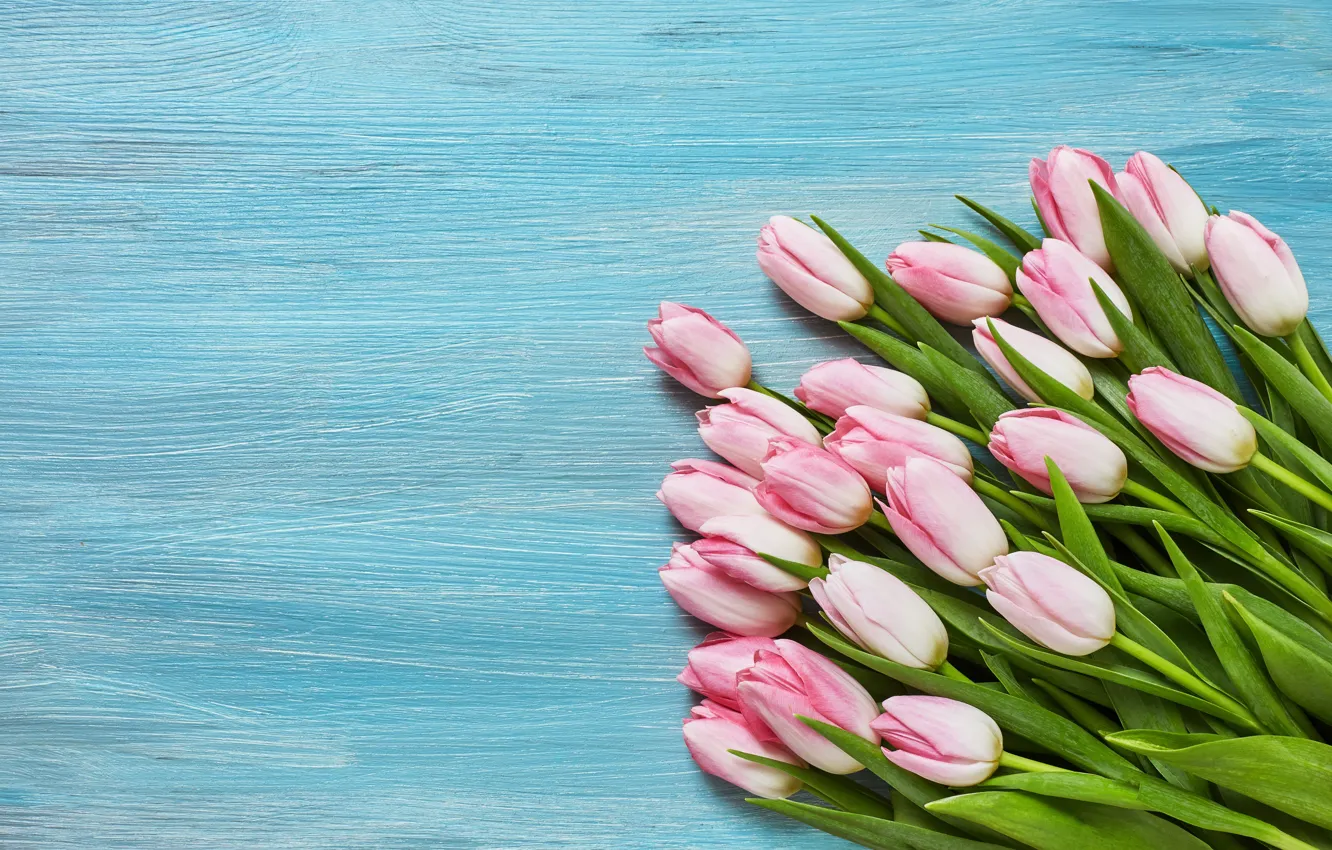 Фото обои тюльпаны, розовые, wood, pink, flowers, tulips