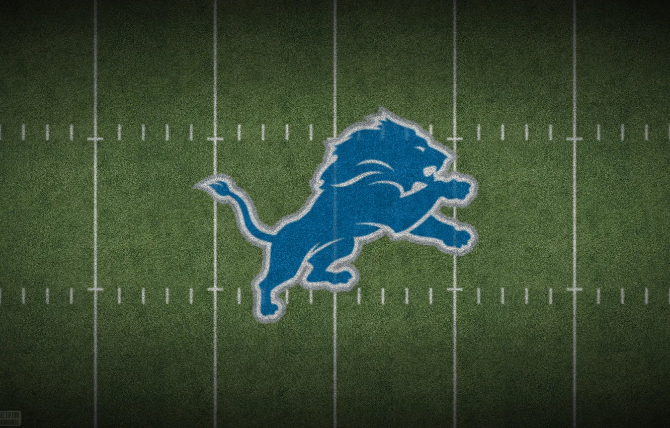 Фото обои Logo, Detroit, NFL, Lions, Detroit Lions, American Foot