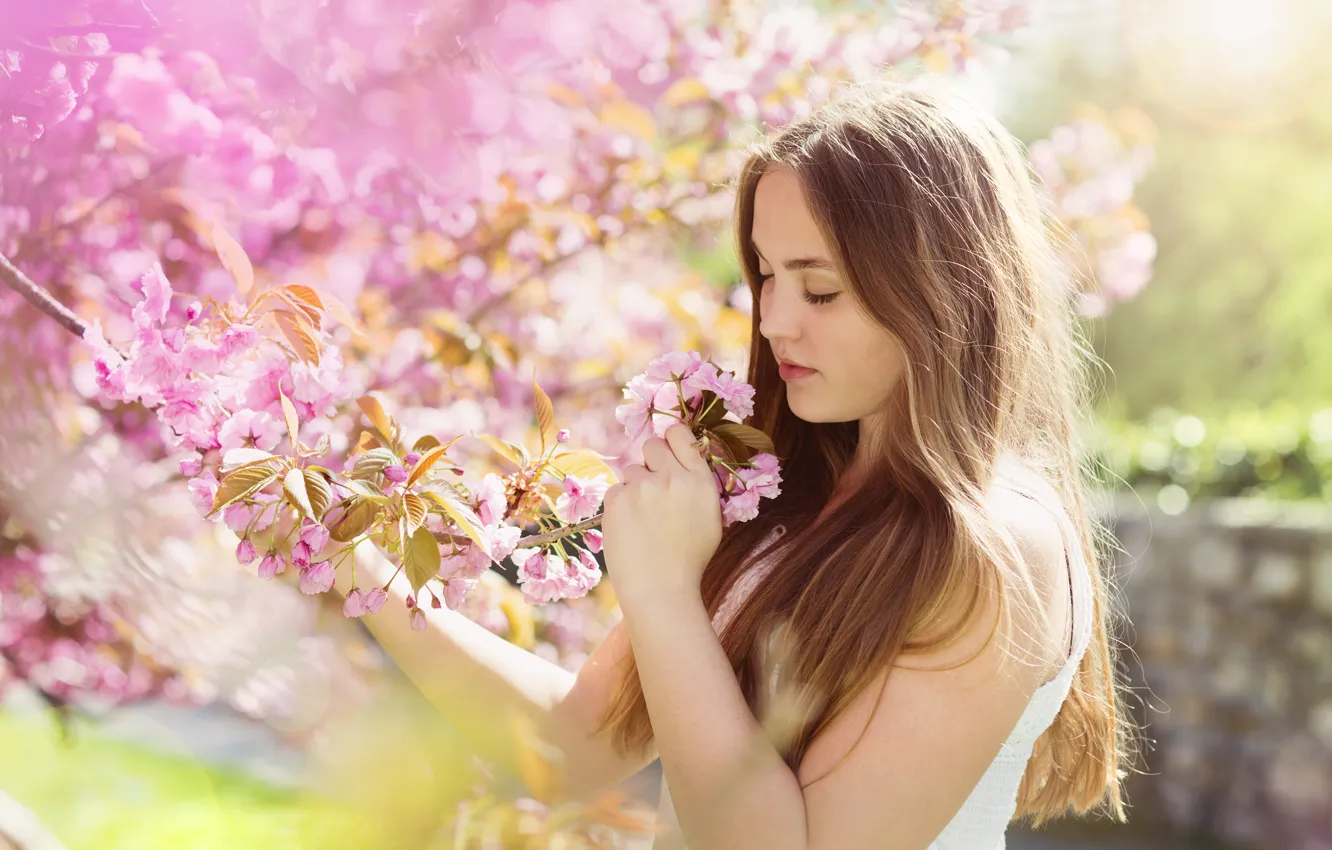 Фото обои девушка, цветы, весна, girl, шатенка, brown hair, flowers, spring