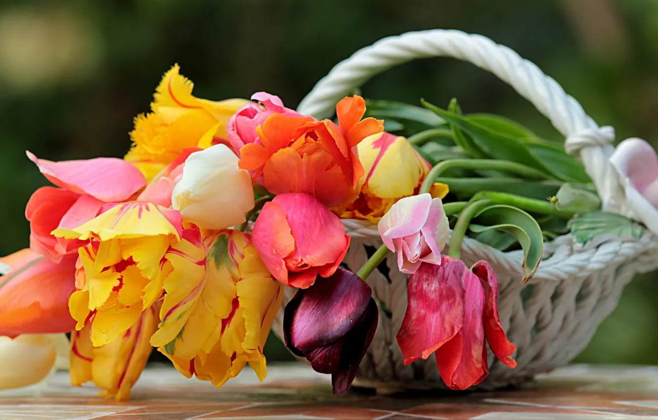 Фото обои цветы, корзина, весна, тюльпаны, ваза