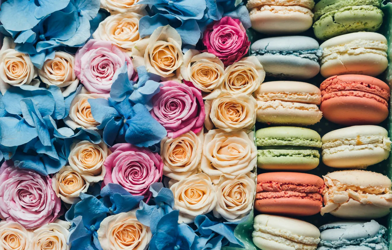 Фото обои розы, печенье, бутоны, макаруны, корбка