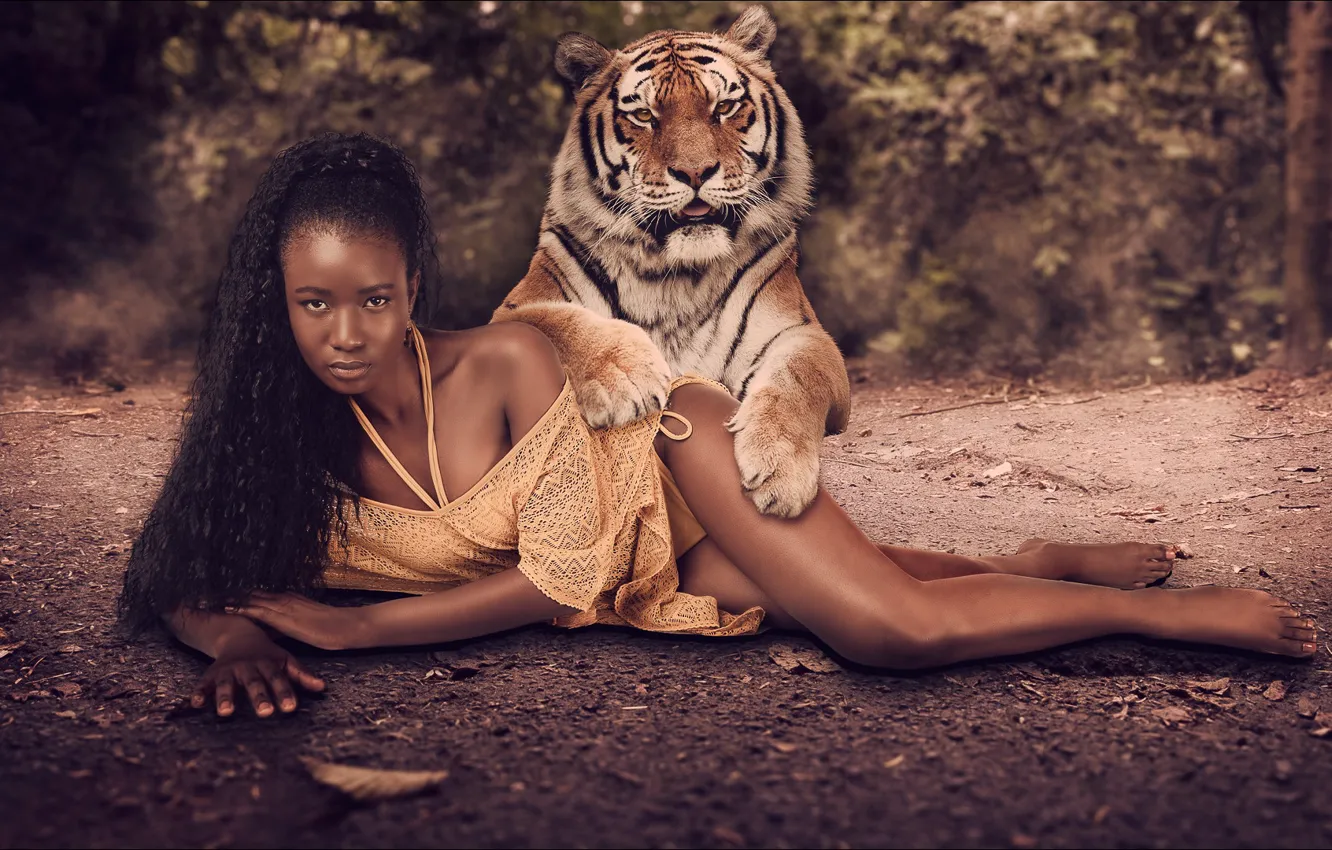 Фото обои тигр, шоколадка, мулатка, girl, двое, tiger, two, chocolate