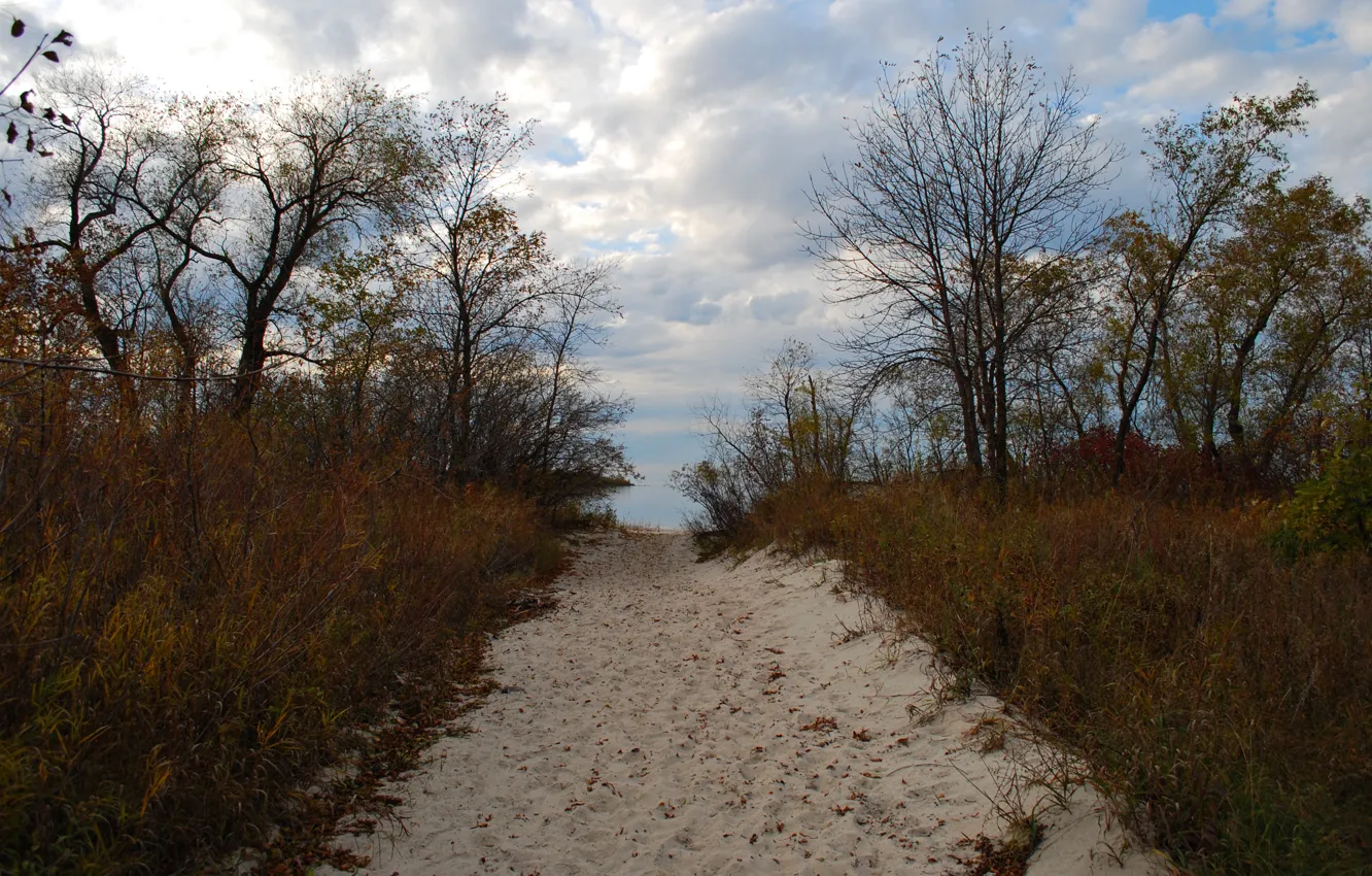 Фото обои Пляж, Осень, Beach, Autumn