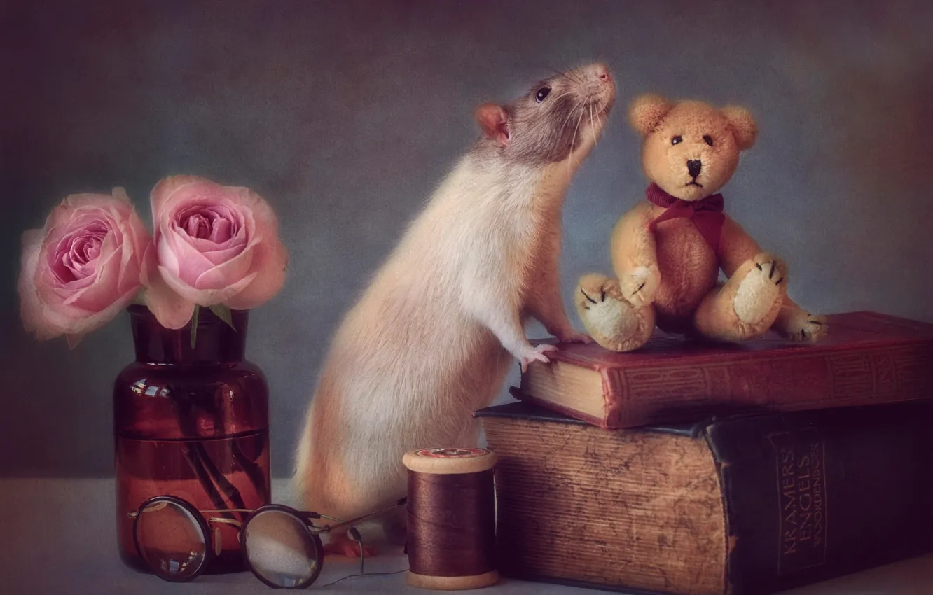 Фото обои игрушка, книги, мышь
