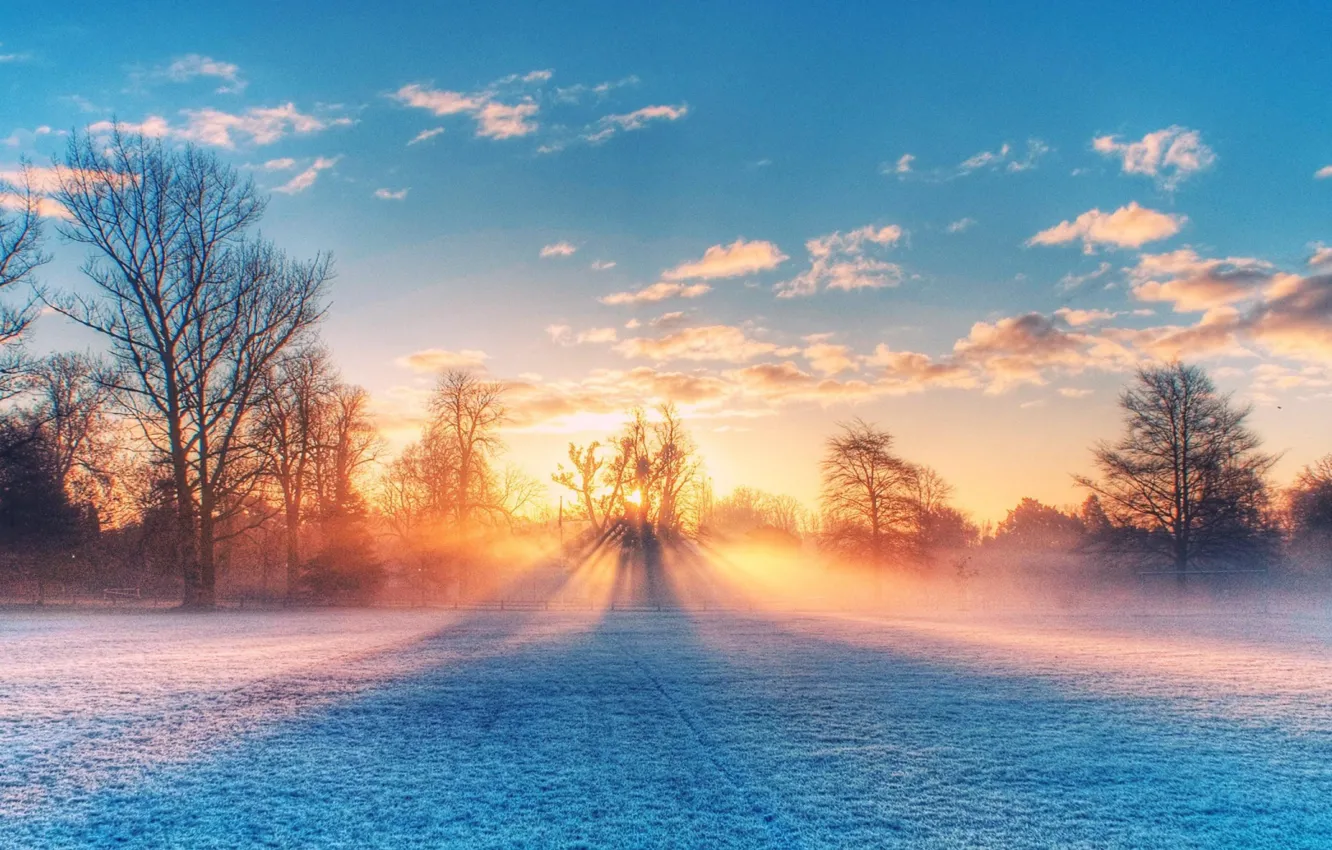 Фото обои field, nature, sunset, sunlight, winter scenery
