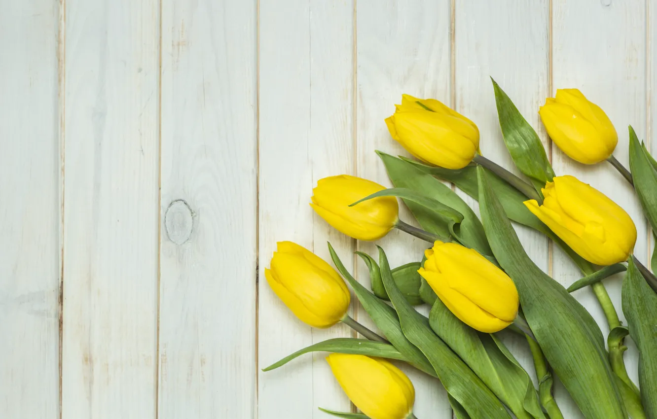Фото обои цветы, букет, желтые, тюльпаны, fresh, yellow, wood, flowers