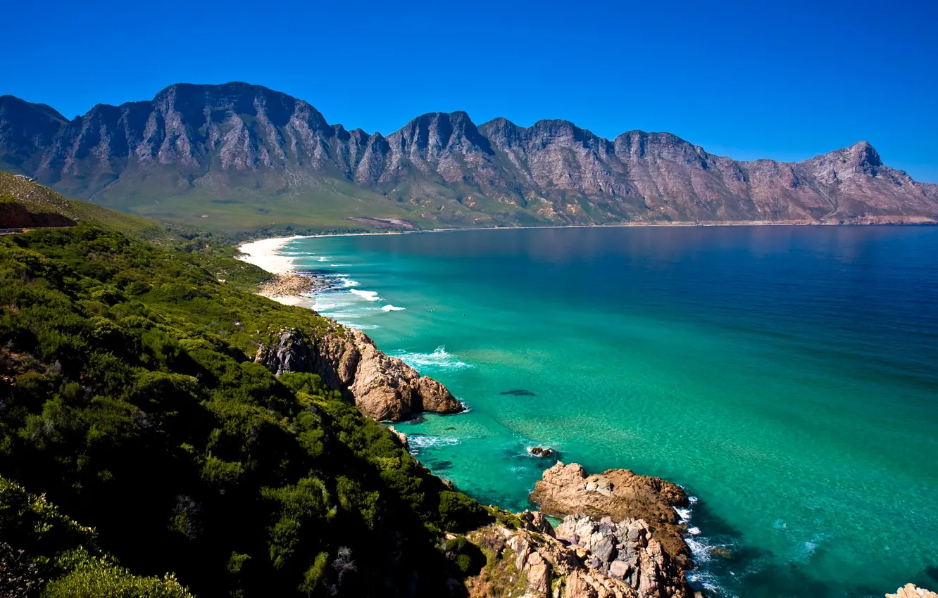 Фото обои море, лес, берег, побережье, гора, Africa, South, Cape Town