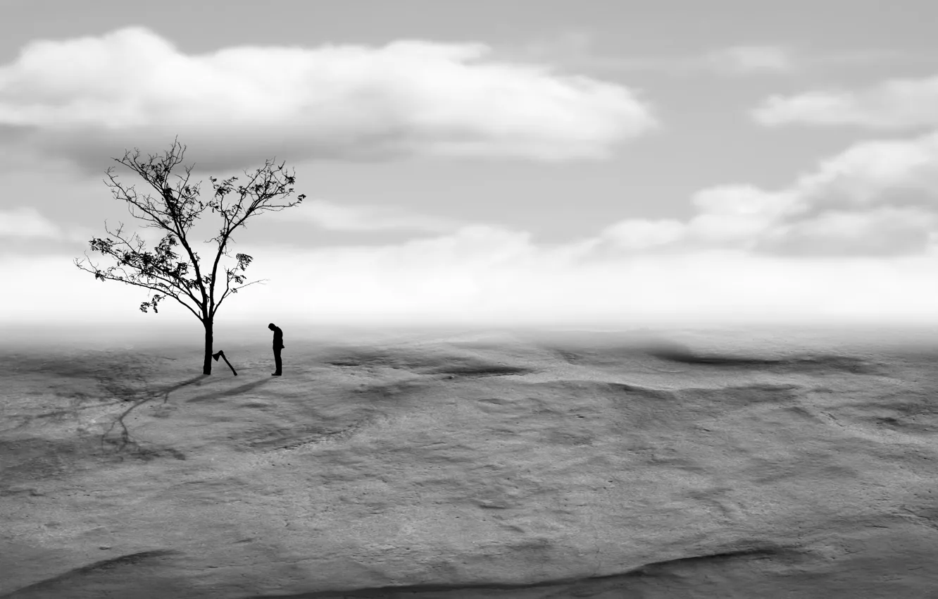 Фото обои деревья, пустыня, человек, топор