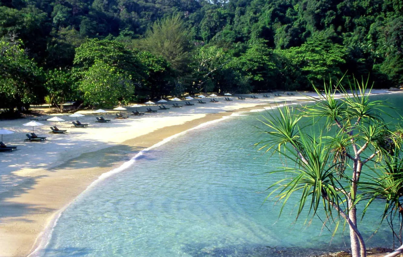 Фото обои пляж, океан, зонтики, курорт, Малайзия, Malaysia, Laut Island, Pangkor
