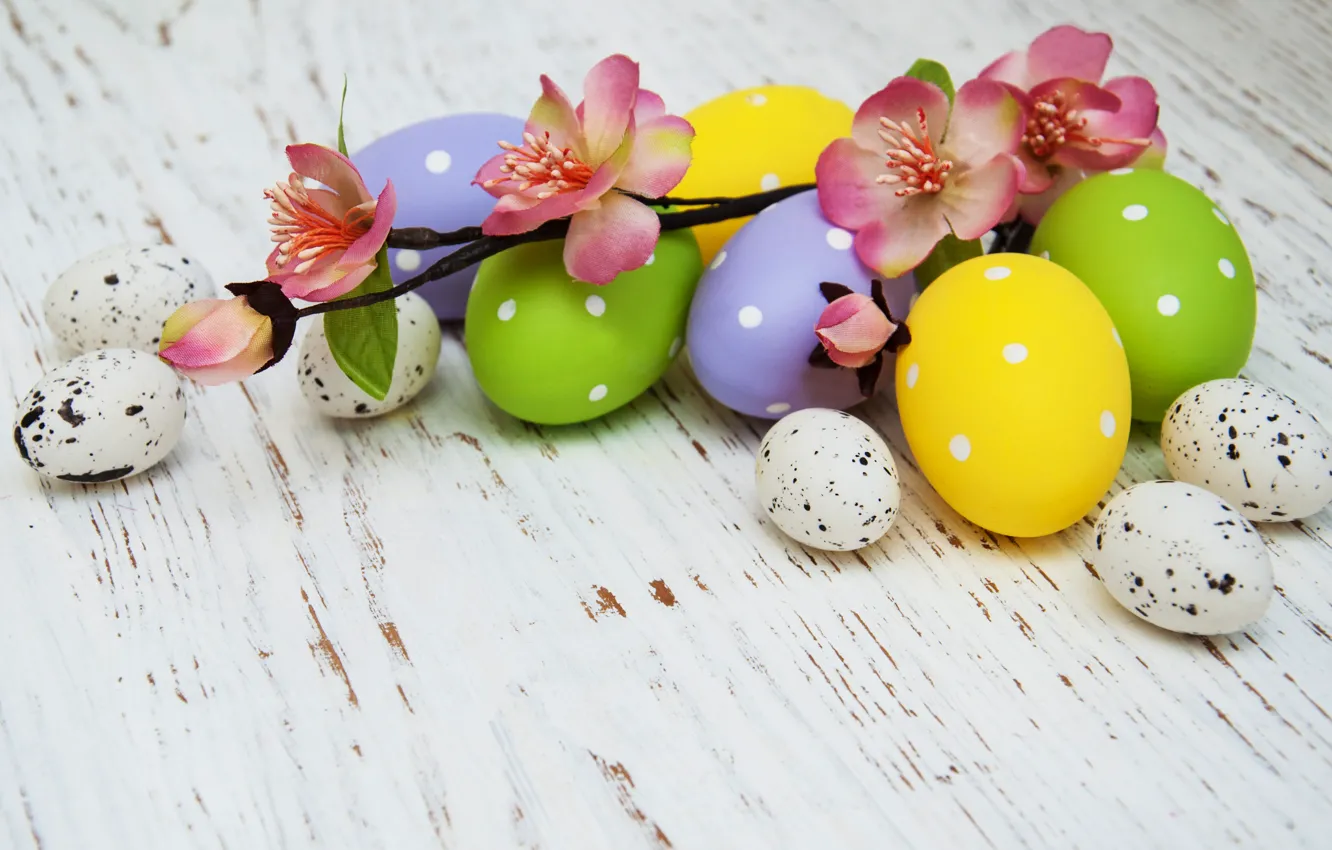 Фото обои цветы, яйца, весна, colorful, Пасха, happy, wood, pink