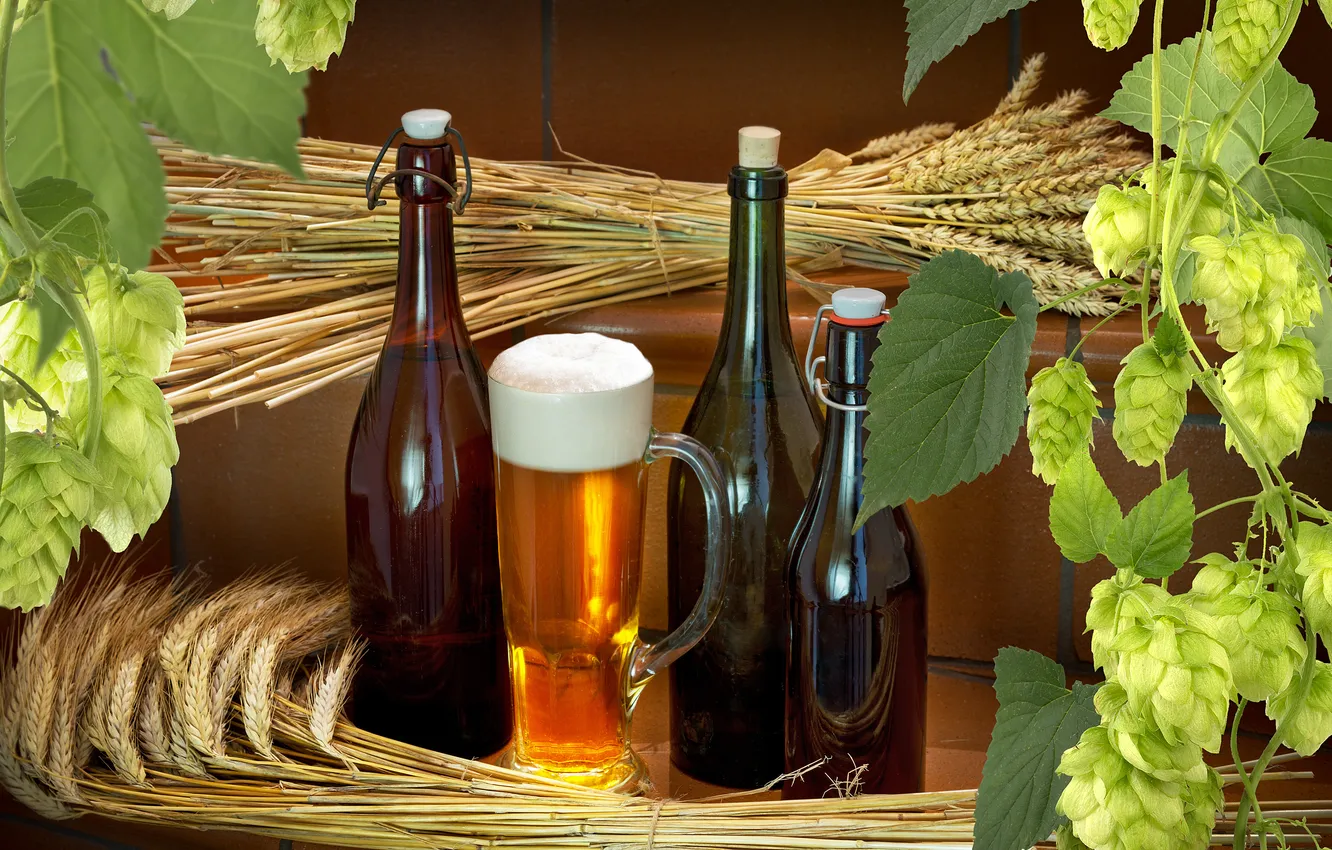 Фото обои пшеница, пиво, бокалы, бутылки, хмель