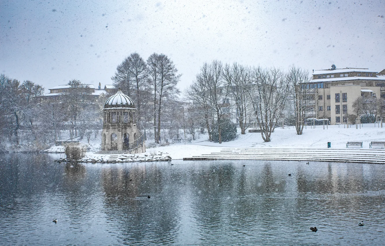 Фото обои зима, снег, Германия, ФРГ, Freiburg, Freiburg im Breisgau