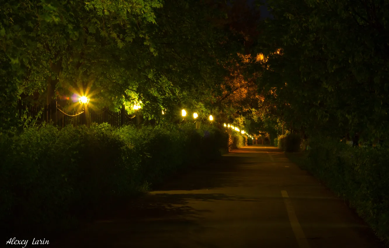 Фото обои ночь, фонари, дорожка, прогулка