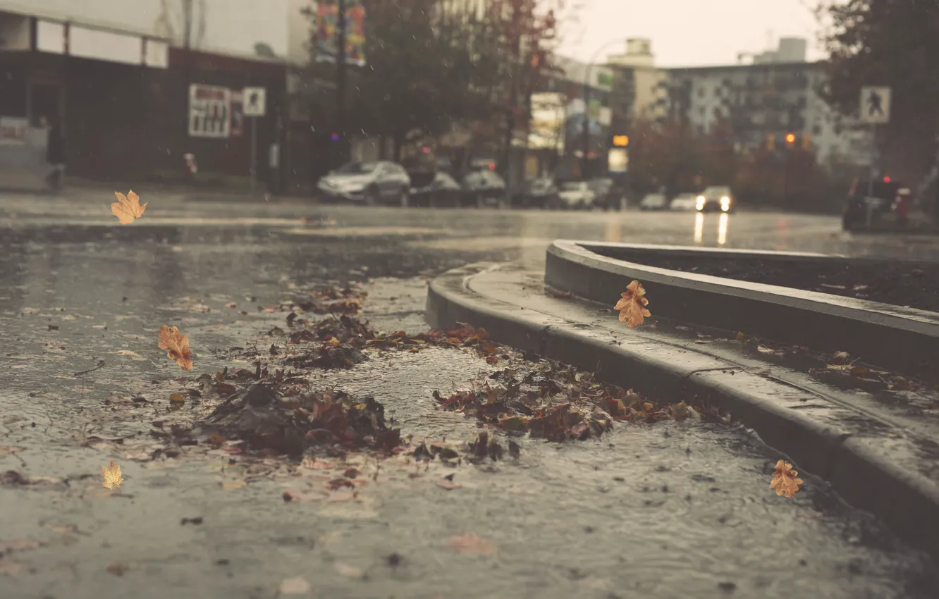 Фото обои city, cars, autumn, leaves, street, pond, raining