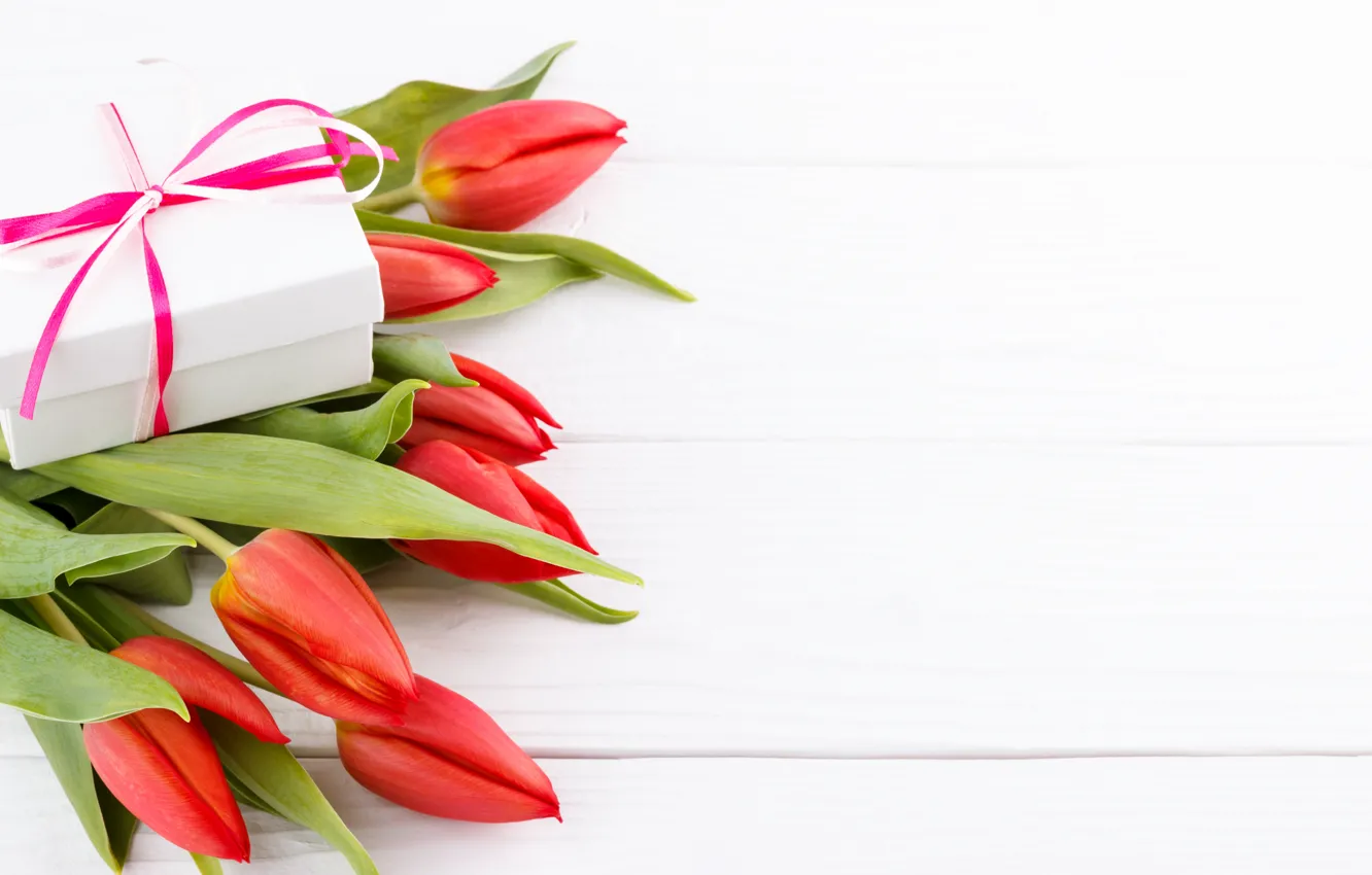 Фото обои подарок, тюльпаны, поздравление