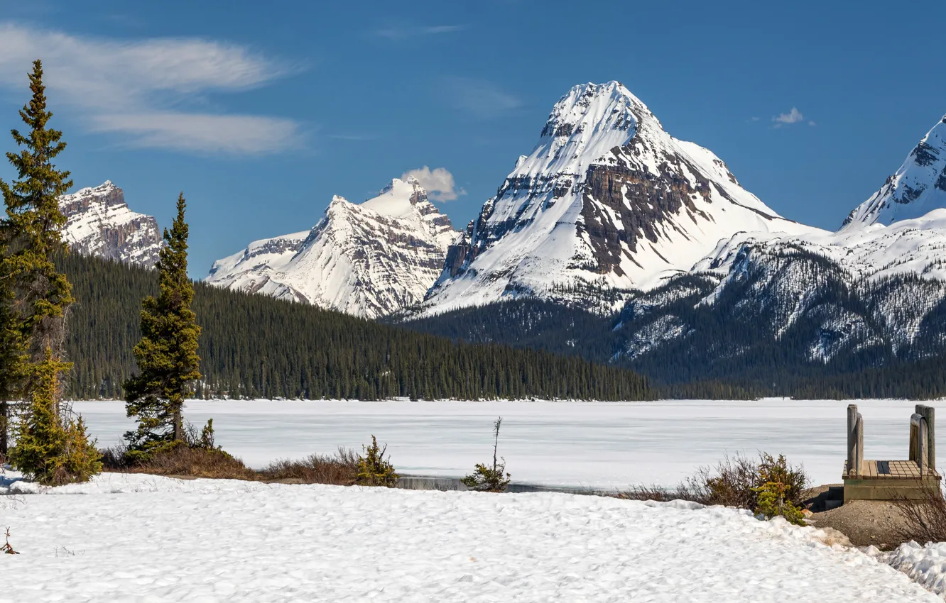 Фото обои зима, лес, снег, деревья, пейзаж, горы, озеро, синева