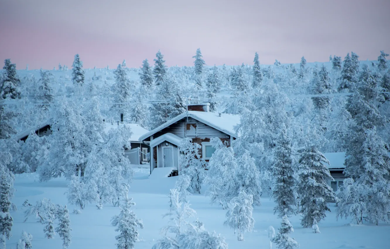 Фото обои зима, лес, снег, деревья, пейзаж, природа, дома, Финляндия