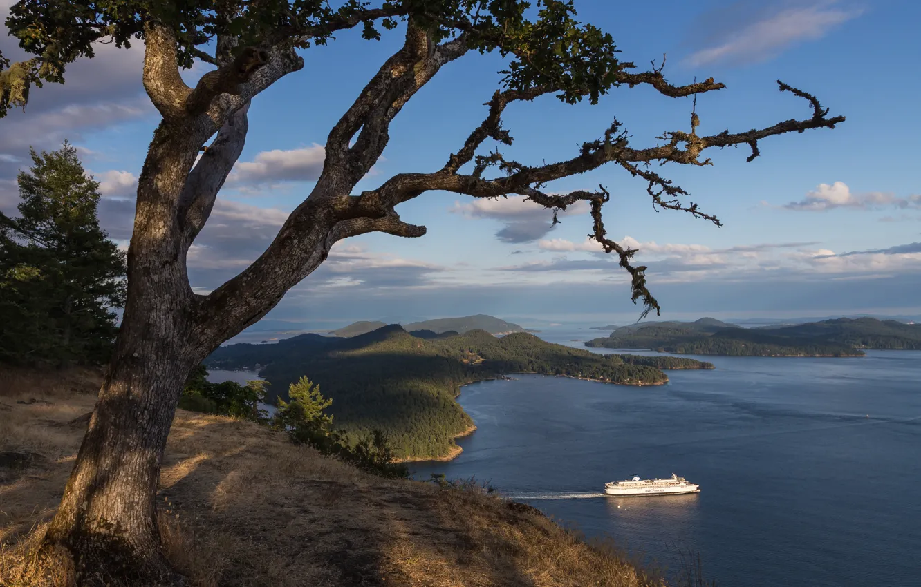 Фото обои море, острова, дерево, побережье, Канада, лайнер, Canada, British Columbia