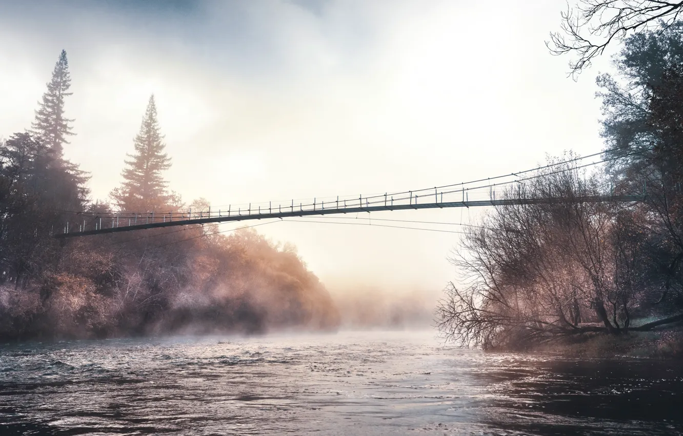 Фото обои мост, природа, туман, река