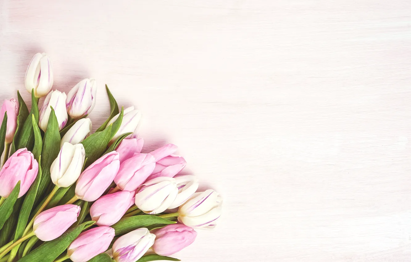 Фото обои цветы, букет, тюльпаны, розовые, pink, flowers, beautiful, romantic