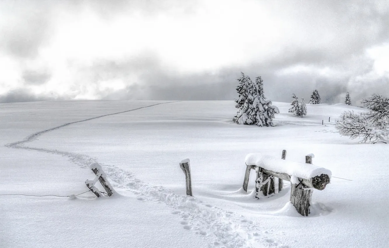 Фото обои зима, поле, снег, пейзаж