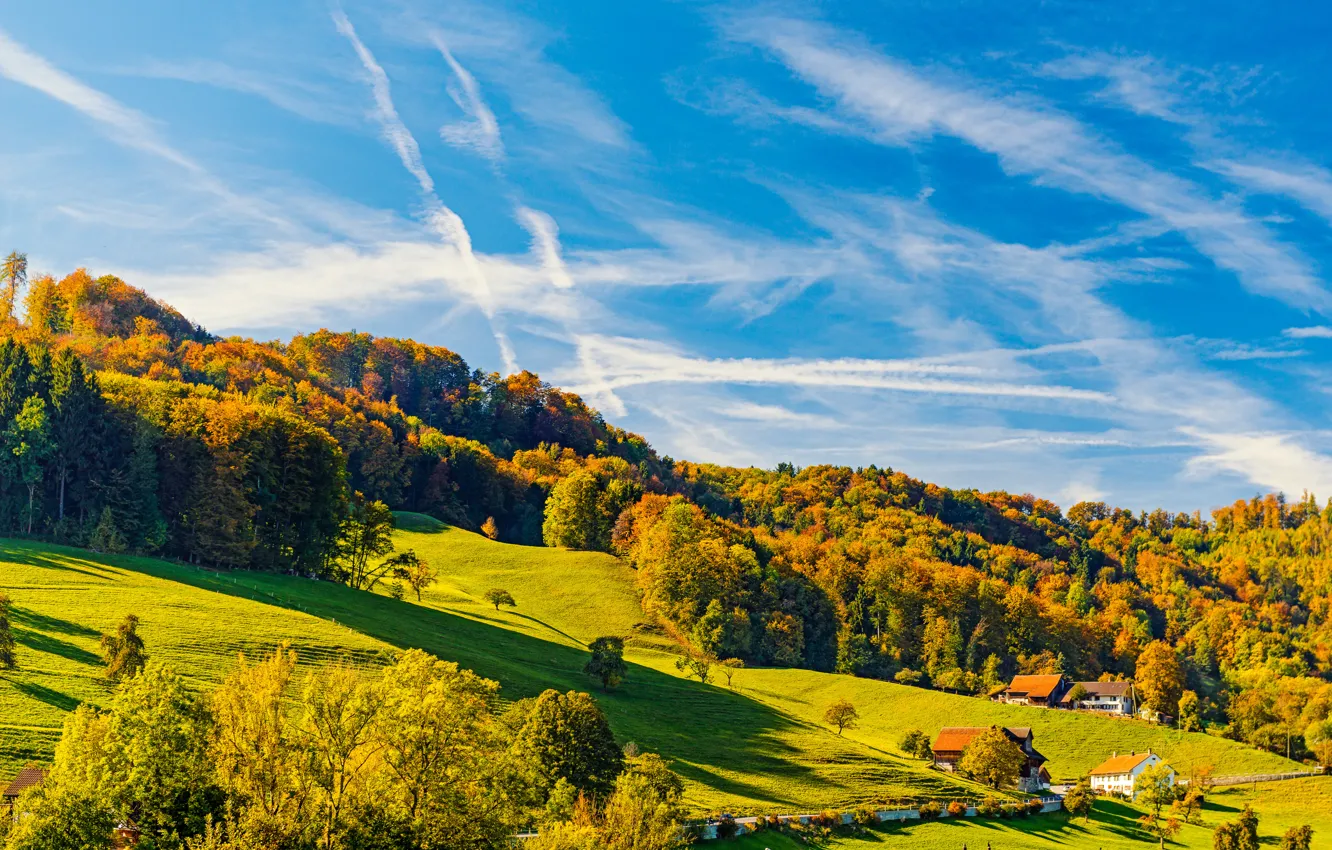 Фото обои осень, деревья, пейзаж, природа, холмы, дома