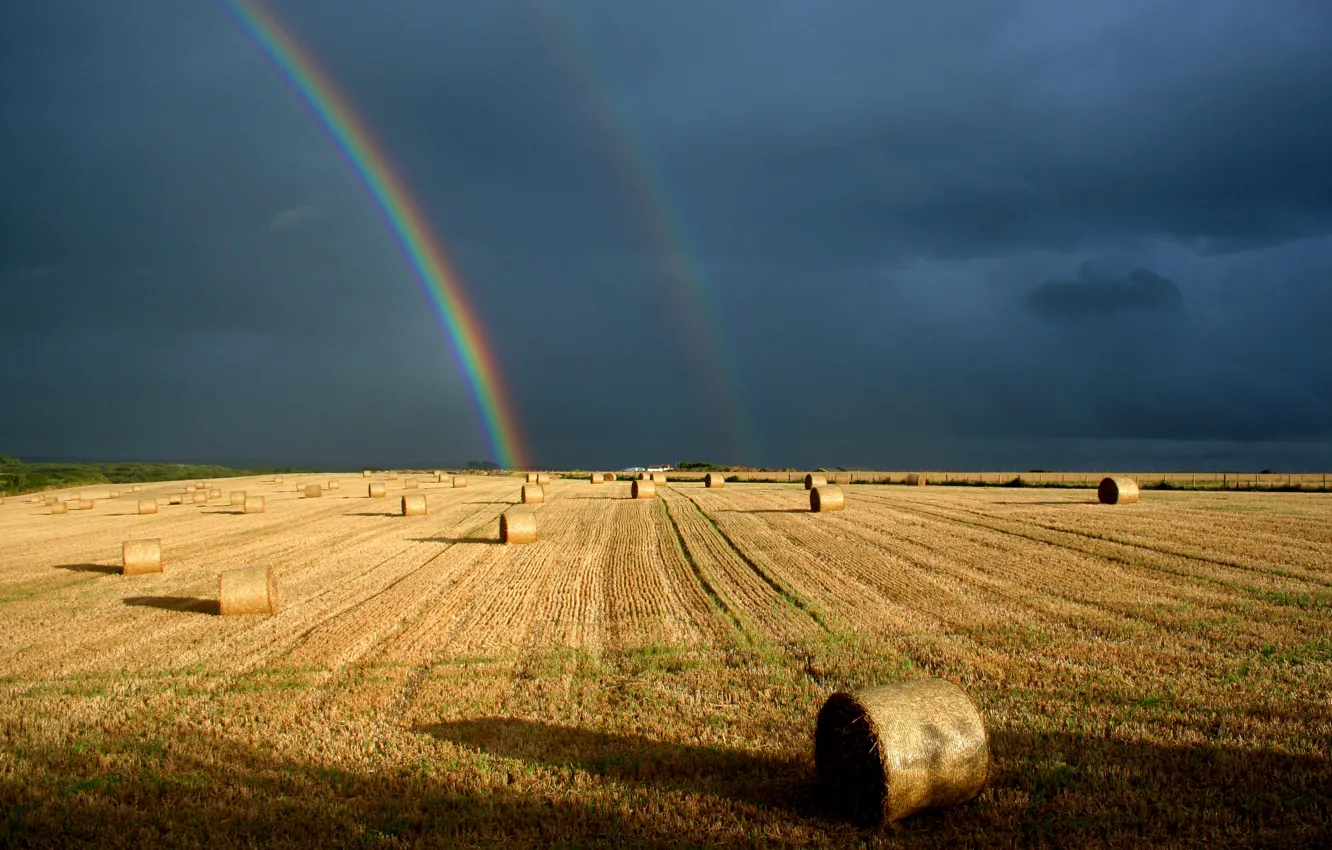 Фото обои поле, небо, радуга, контраст, роллы