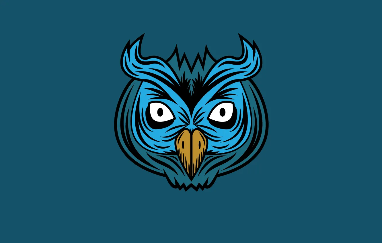 Фото обои сова, птица, минимализм, голова, синий фон, owl