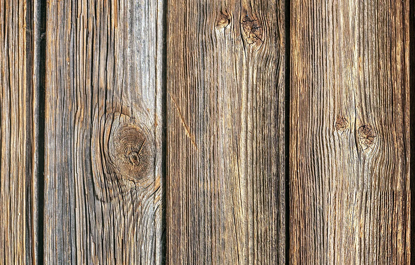 Фото обои деревья, доски, фактура