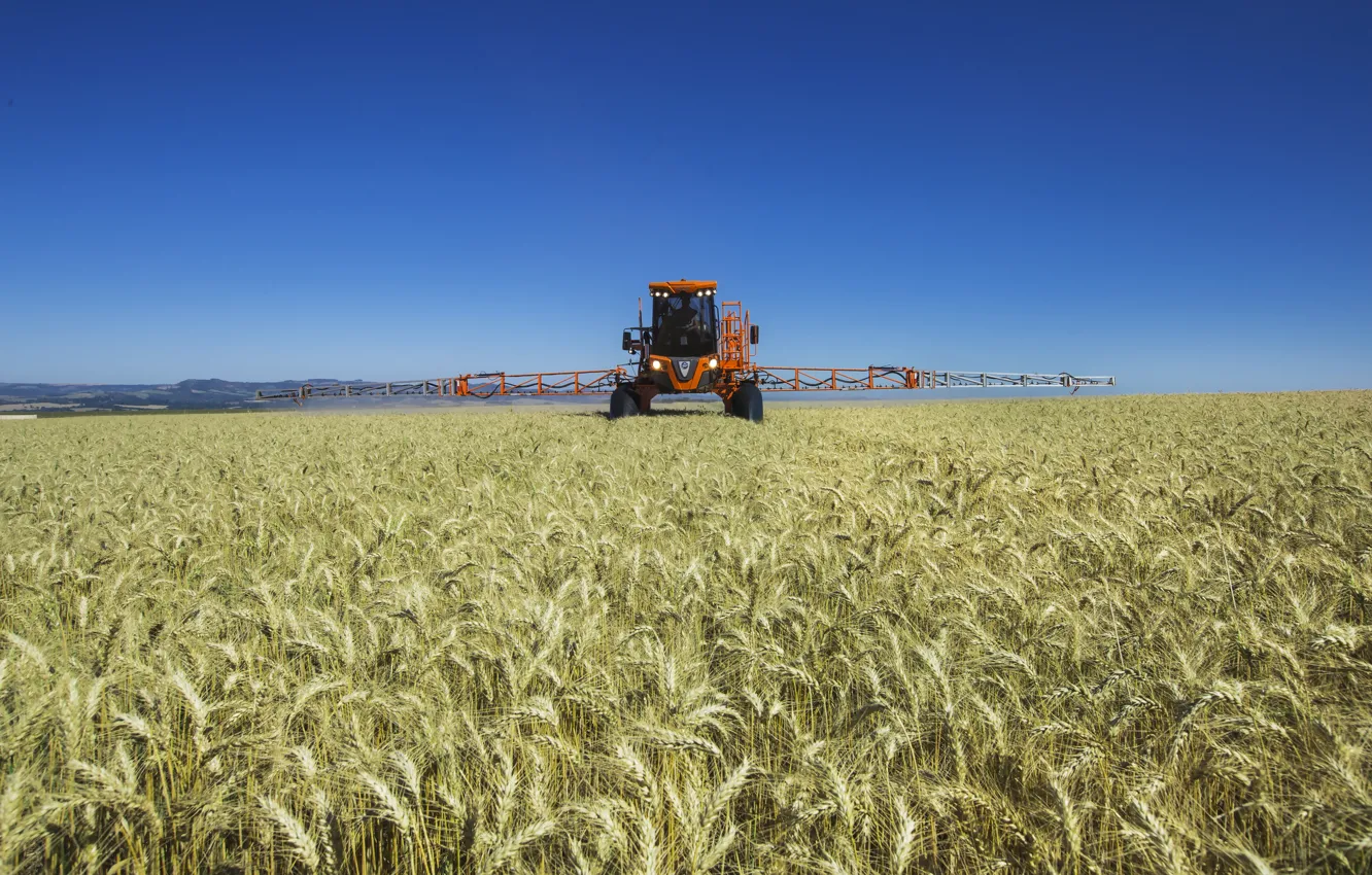 Фото обои wheat, agriculture, jacto
