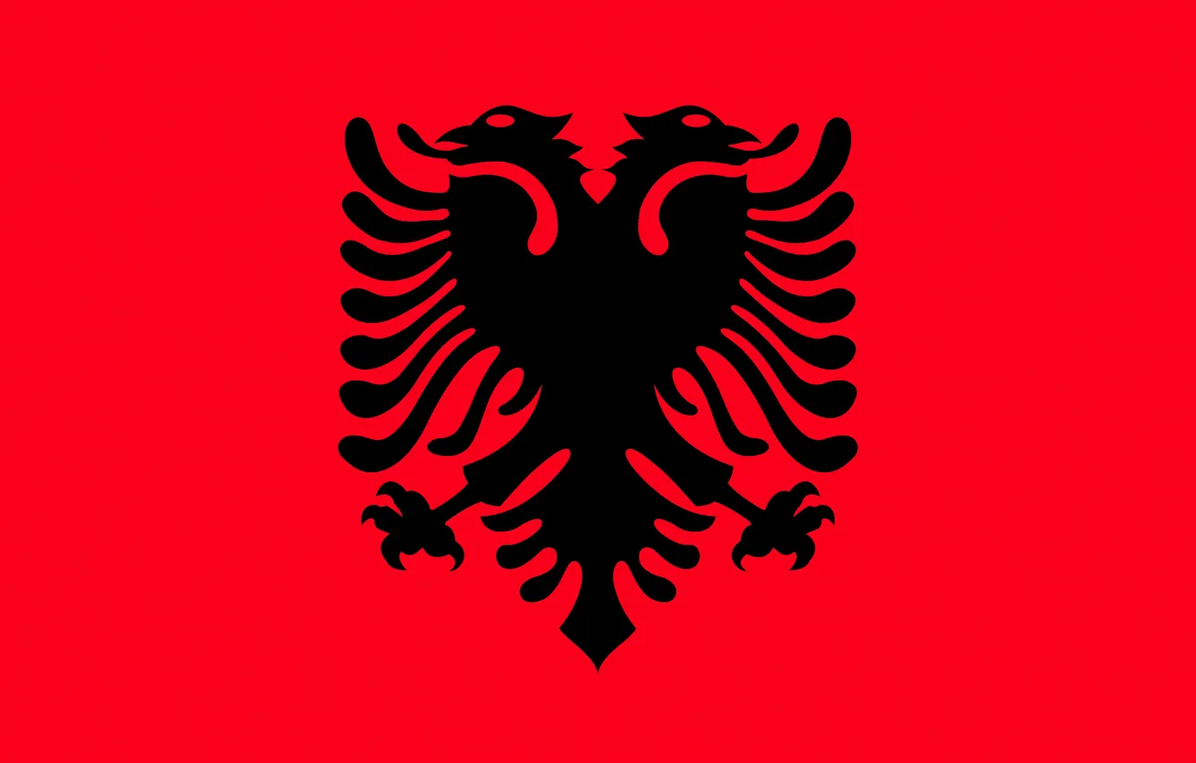 Фото обои флаг, red, орёл, black, eagle, албания, fon, flag